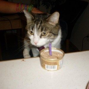 Meet your Posher, Gabriela